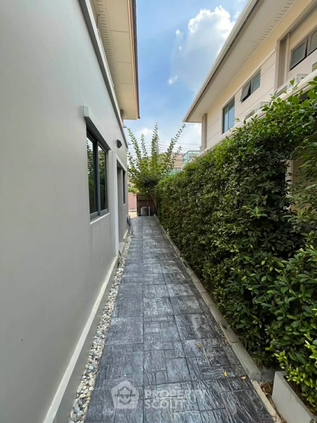 Charming side pathway with lush greenery and modern exterior design