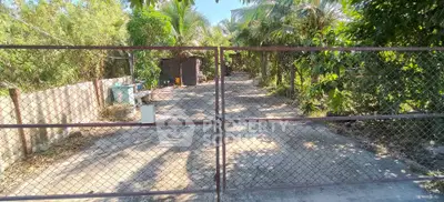 Spacious gated driveway surrounded by lush greenery and tropical trees
