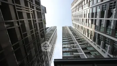 image_rental-30167538