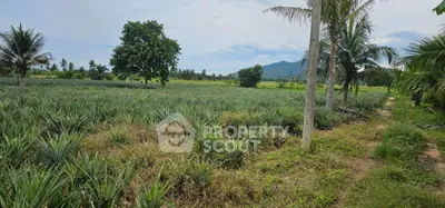 image_rental-28834269