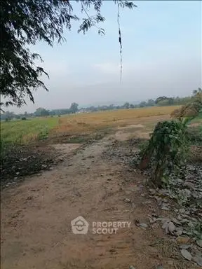 image_rental-16670171