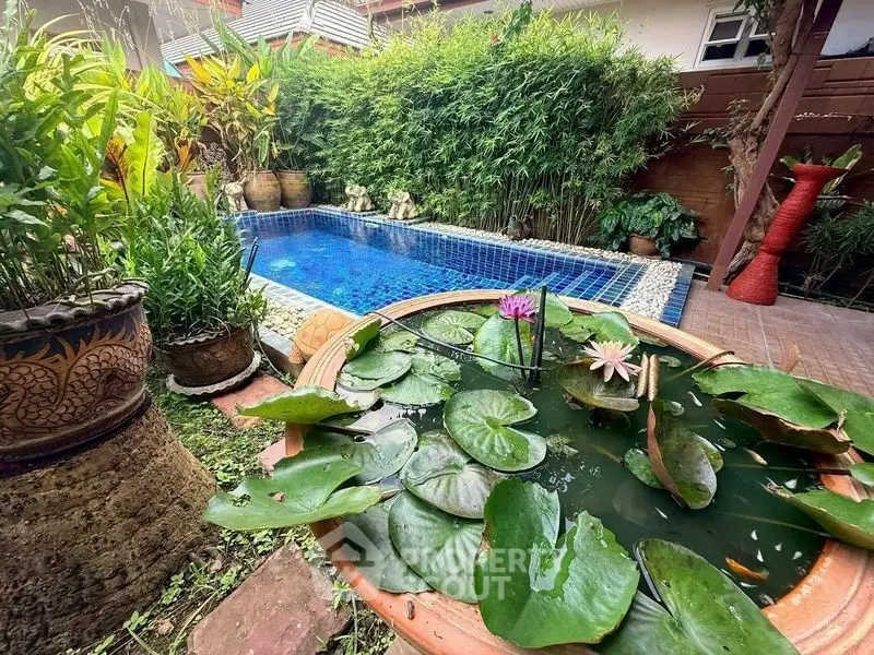 Charming garden with lush greenery and serene pool, perfect for relaxation and outdoor enjoyment.