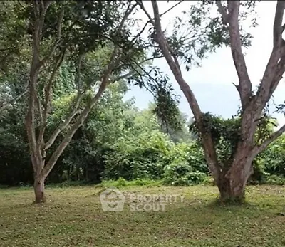 Lush green garden area with mature trees, perfect for serene outdoor living.