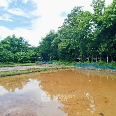 Scenic view of a lush green landscape with a reflective water body, perfect for serene living.