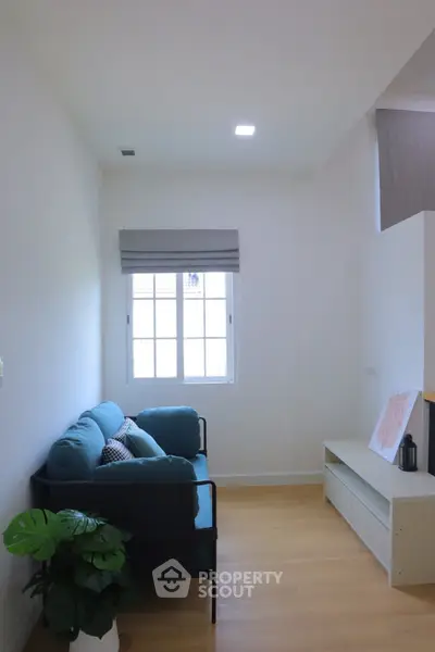 Cozy living room with modern sofa and natural light