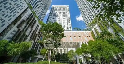 image_rental-29323529