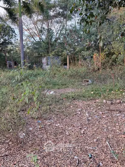 Vacant land with lush greenery and trees, ideal for development opportunities.