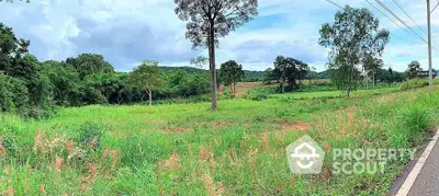 Expansive green land with lush trees and scenic views, perfect for development or investment opportunities.