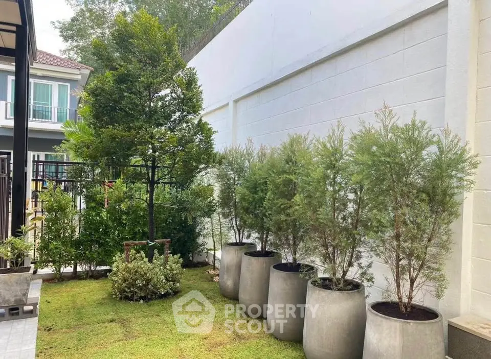 Charming garden area with lush greenery and modern planters in a residential setting.