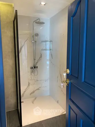 Modern bathroom with elegant shower and blue door