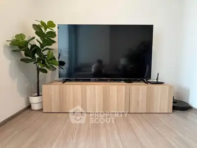 Modern living room with sleek TV stand and potted plant