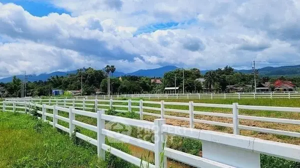 image_rental-20985815