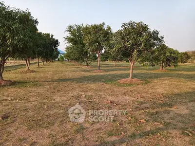 image_rental-16751731