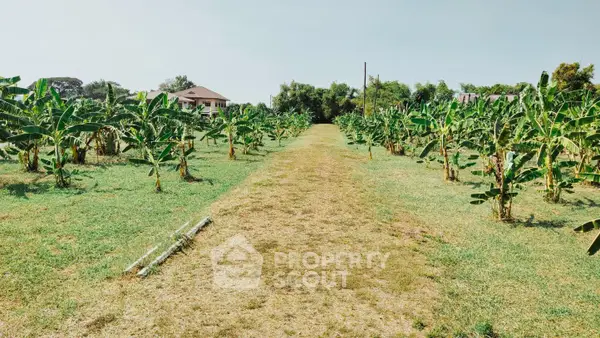 image_rental-16744022