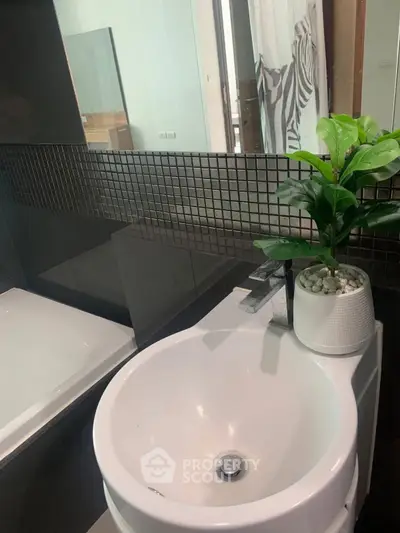 Modern bathroom with sleek sink and stylish plant decor