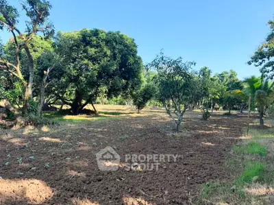 Expansive agricultural land with lush trees and clear blue sky, perfect for farming or development.