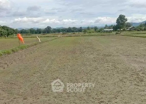 image_rental-27710449