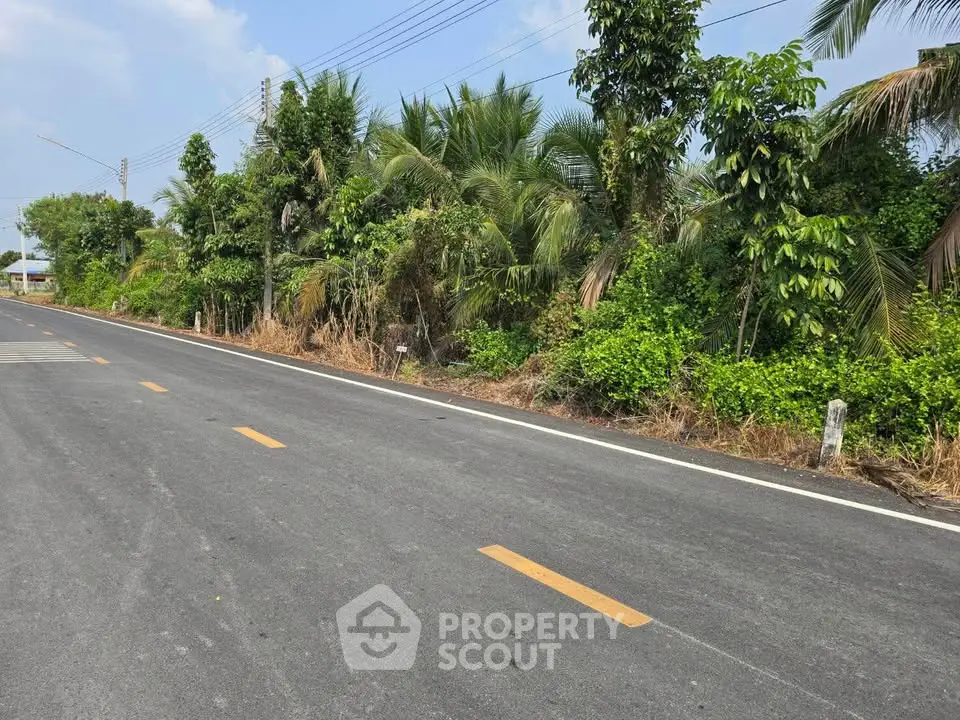 Scenic road view with lush greenery, ideal for real estate development.