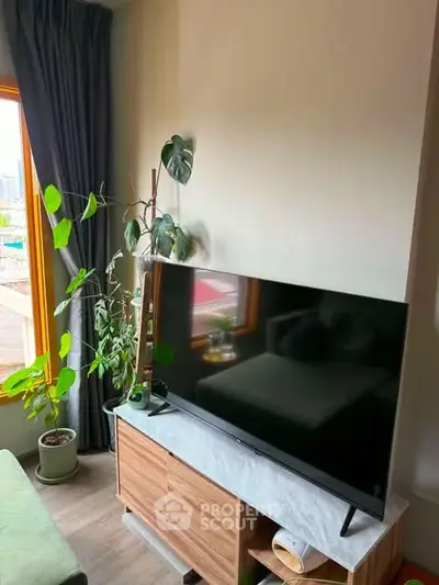 Modern living room with large TV, stylish cabinet, and lush indoor plants.