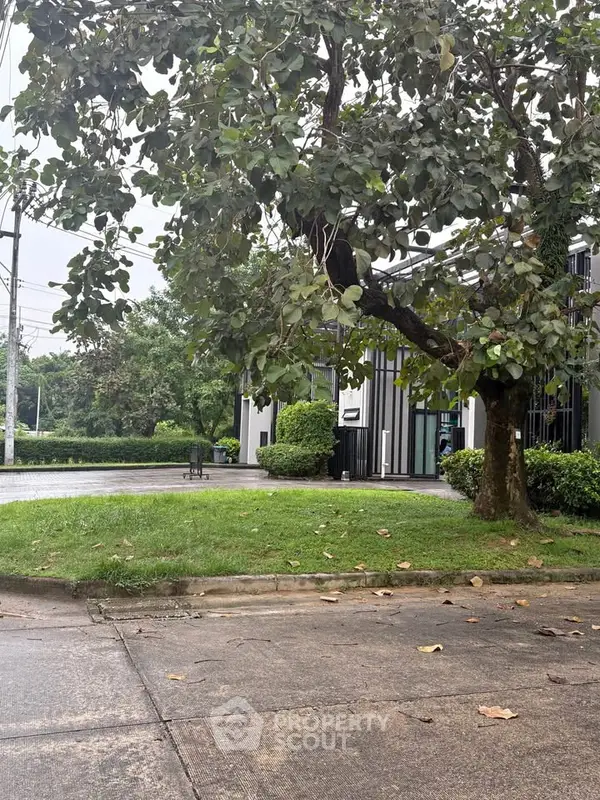 image_rental-27602155