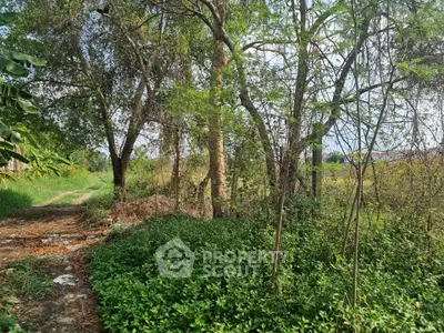 Lush green landscape with trees and a dirt path, perfect for serene living.