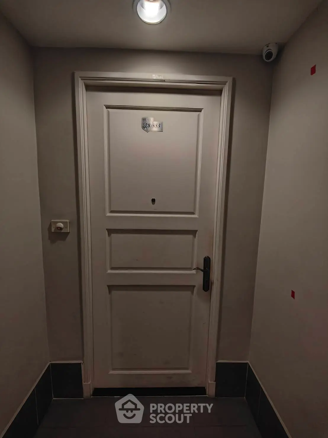 Elegant apartment entrance door with modern security features