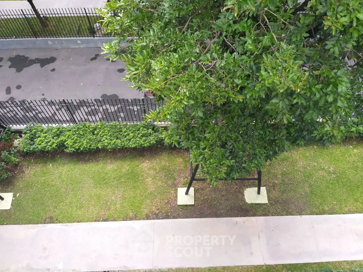 Lush garden view with pathway and trees in a serene residential area.