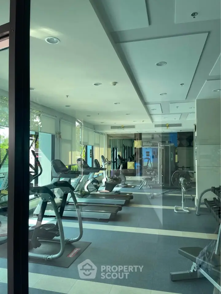 Modern gym with state-of-the-art fitness equipment and large windows for natural light.
