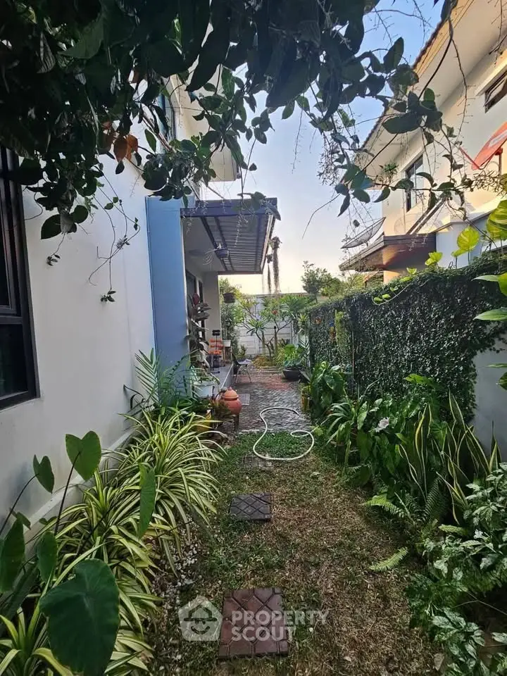 Charming garden pathway with lush greenery and cozy outdoor ambiance.