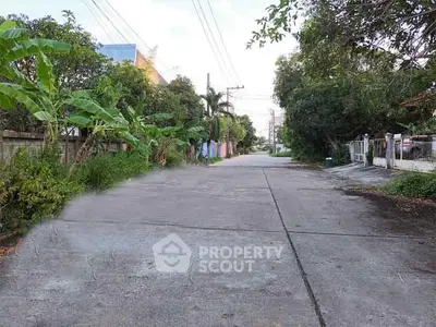 Quiet residential street with lush greenery and paved road