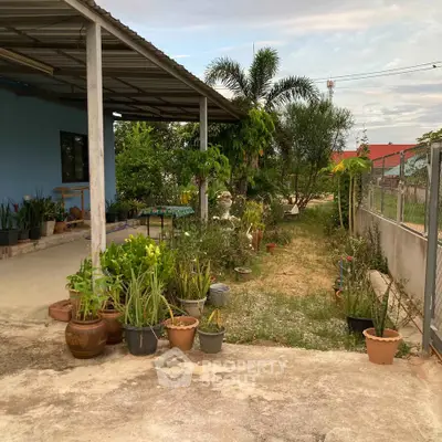 Charming garden area with lush greenery and potted plants beside a cozy home exterior.