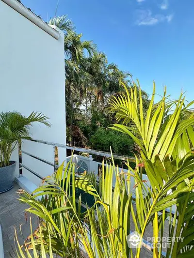 Lush balcony view with tropical plants and clear blue sky