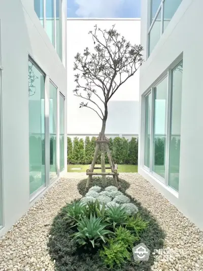 Modern minimalist garden courtyard with lush greenery and sleek glass facade