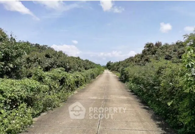 Expansive rural road surrounded by lush greenery under a clear blue sky, ideal for development.