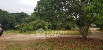 Spacious land plot with lush greenery and mature trees, ideal for development.