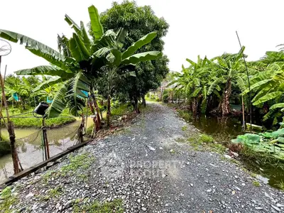 Lush tropical garden with gravel path and banana trees, perfect for serene outdoor living.