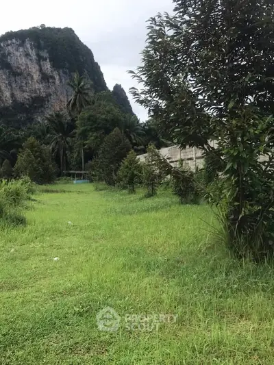 Scenic green landscape with lush trees and rocky mountain backdrop