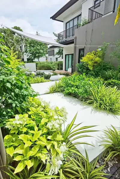 image_rental-28168475