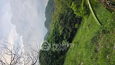 Scenic hillside view with lush greenery and distant mountains