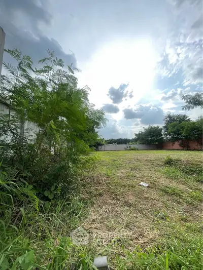 Expansive vacant land with lush greenery and clear skies, perfect for development opportunities.