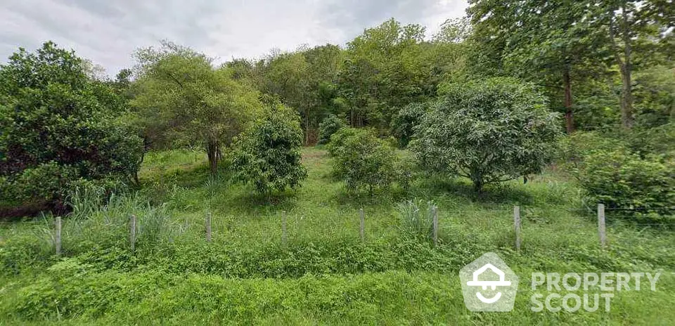 Lush green garden area with trees and fence, perfect for nature lovers seeking tranquility.