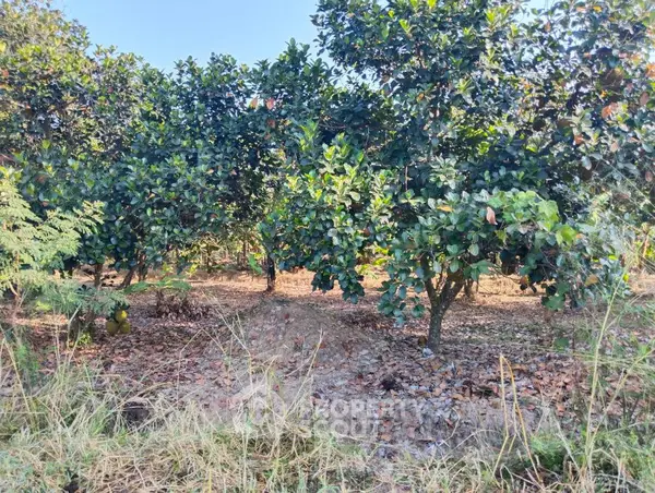 image_rental-27707575