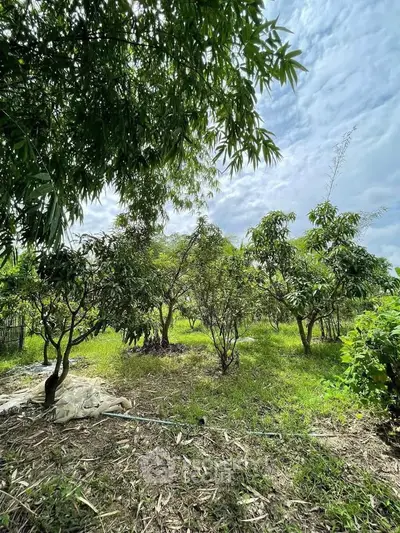 Lush garden with fruit trees under a clear sky, perfect for serene outdoor living.