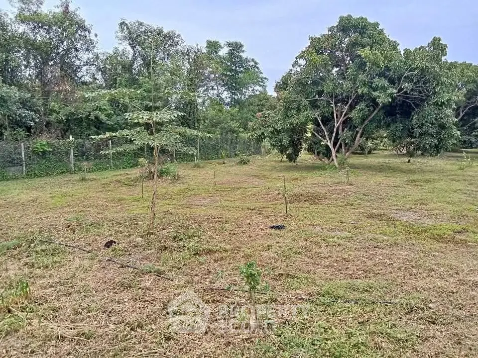 Spacious plot of land with lush greenery and mature trees, perfect for development or investment.