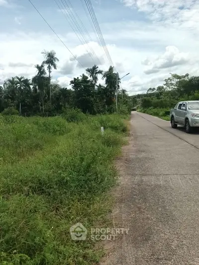 Scenic roadside view with lush greenery and clear sky, ideal for real estate development.