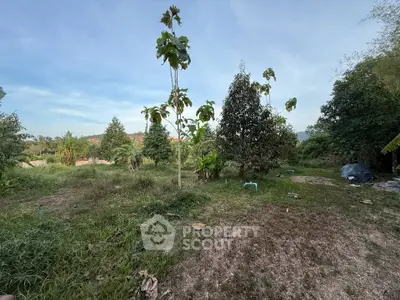 image_rental-27317527