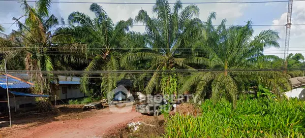 image_rental-23637464
