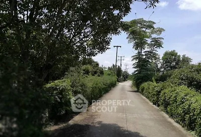 Scenic driveway surrounded by lush greenery and trees, offering a tranquil and private entrance.