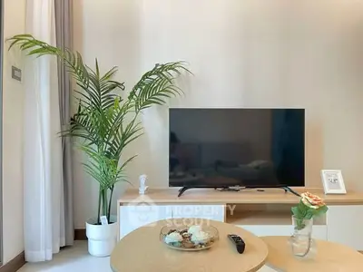 Modern living room with TV, stylish decor, and indoor plant for a cozy ambiance.