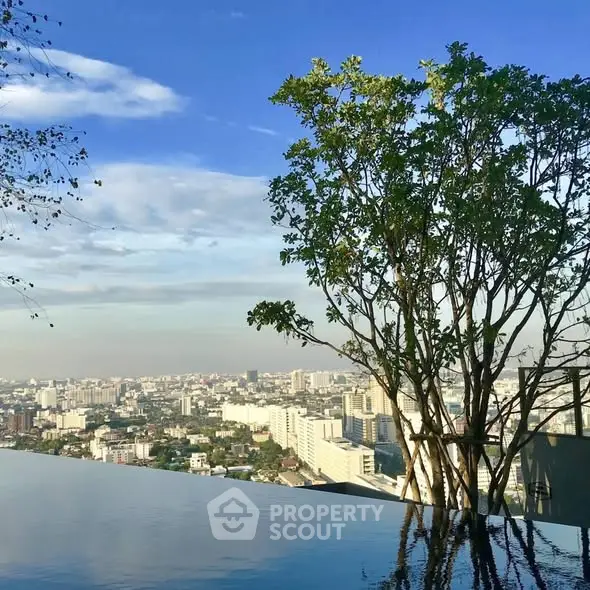 Stunning rooftop infinity pool with panoramic city skyline view.